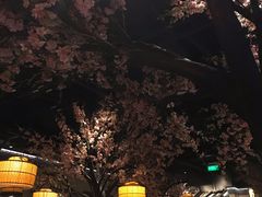 景观位-绿茶餐厅(昌平悦荟店)