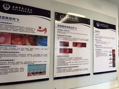 -上海市东方医院(总院)