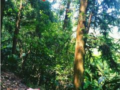 -福清灵石山国家森林公园