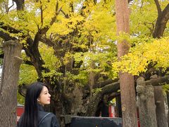 -浮来山风景区