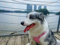 -长白岛森林公园