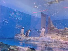 -世界之窗阿尔卑斯冰雪世界