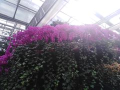 -兰陵国家农业公园