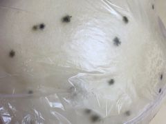 -玉华台饭庄·淮扬菜·烤鸭(望京店)