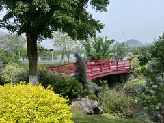 -羊山湖公园