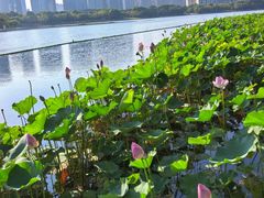 -尚贤河湿地