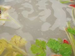 大骨汤-潮信鱼头王(西环店)