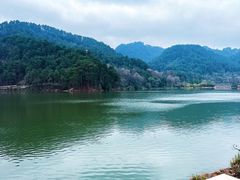 -黔灵山公园