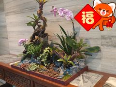 -广州白天鹅宾馆