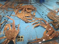 -渔傅·霞浦滩涂海鲜(建平店)