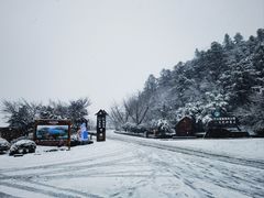 -江南天池