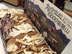 -芸山季·云南山珍菌火锅(南翔印象城MEGA店)