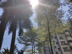 -热浪岛马来餐厅