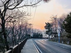 -燕窝岭