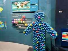 -贝林大翅鲸简餐厅(国家海洋博物馆店)