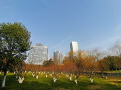 -中央公园(苏州工业园区)