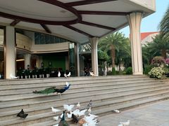 -蜈支洲岛珊瑚酒店临海阁中餐厅