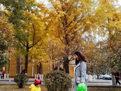 -辽宁大学(崇山校区)