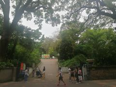 -深仔记茶餐厅(亚士厘道店)