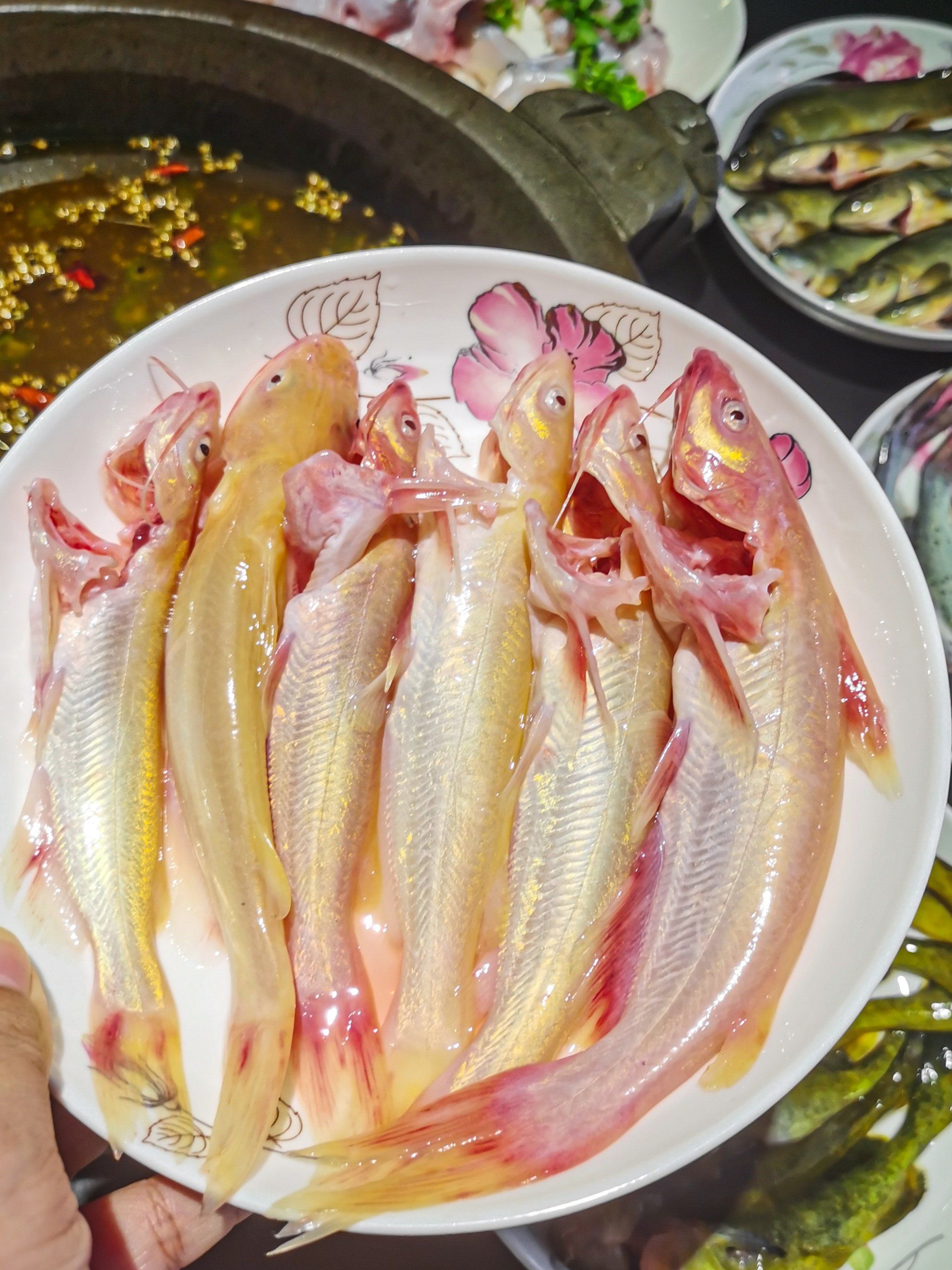 吃完就收藏了6015 武汉首家石锅苗苗鱼,真的hin好吃