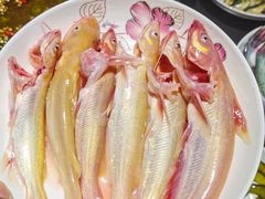 -石锅苗苗鱼(武汉首店)