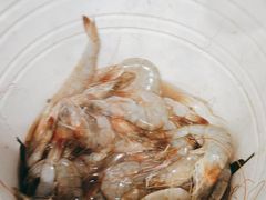 -云海轩·海鲜自助-河北云瑧世纪大饭店1F