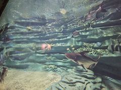 -龙谷湾旅游休闲度假区