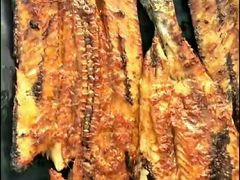 -渔家小院观海海肠捞饭地方菜(环海中路店)