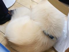 -OZ cafe(南昌路店)