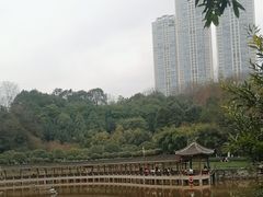 -龙头寺公园