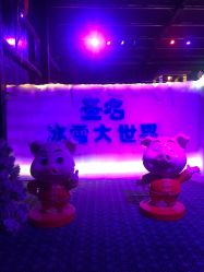 -圣名游乐城冰雪大世界