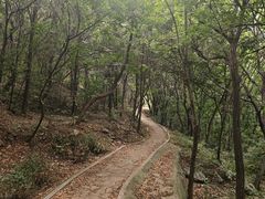 -水池山公园