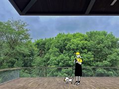 -白鹭湾湿地公园