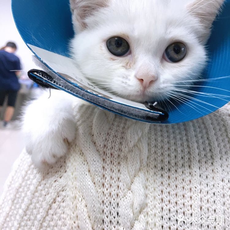小宝贝要快点恢复健康啊