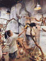 -Zoolung Zoolung动物主题公园(海信广场店)
