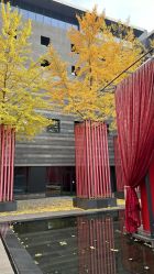 -西安威斯汀大酒店·宴会厅