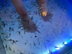 -汤连得温泉馆(宝山店)