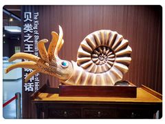 -贝壳王国博物馆