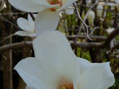 -雅达·阳羡溪山小镇中心