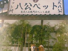 -横店广州街·香港街