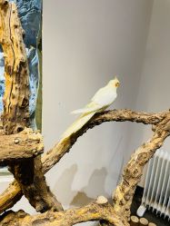 -Zoolung Zoolung动物主题公园(海信广场店)