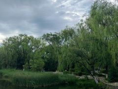 -满都海公园