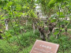 -苏州丝绸博物馆