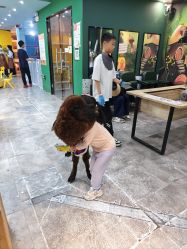 点击看大图 -神奇动物撸宠馆·羊驼·小浣熊·异宠(豫园店)
