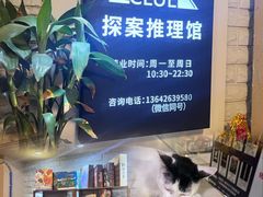 -CLUE演绎实景剧本杀(江南西店)