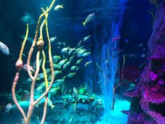 -沈阳海洋探索中心