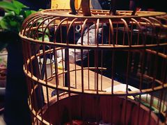 -胡桃里乐队酒馆(鎏嘉码头店)