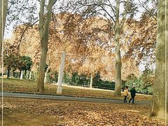 -河南省黄河迎宾馆