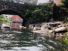 -藏龙百瀑漂流