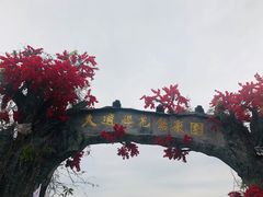-天适樱花悠乐园